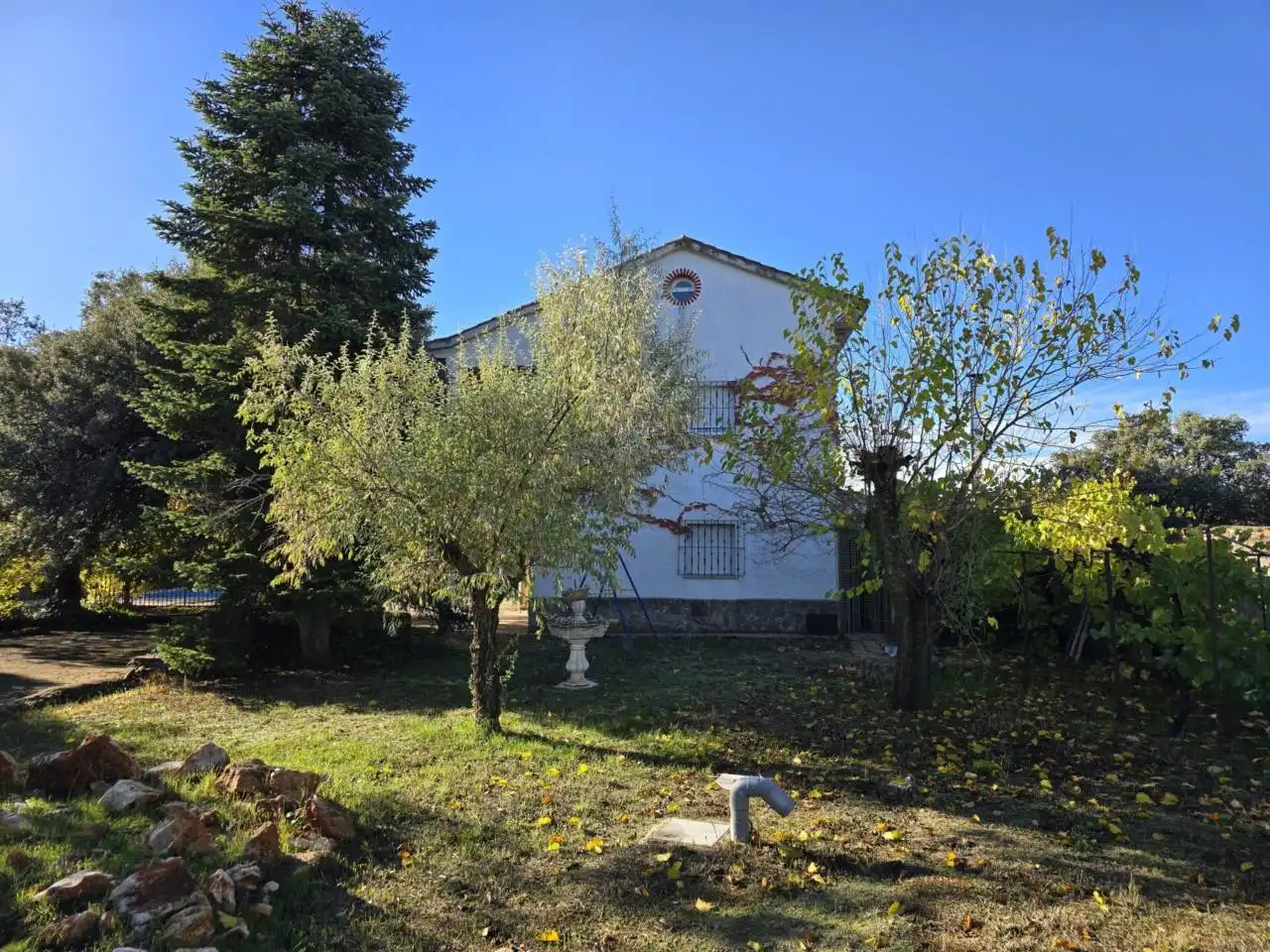 Vista exterior de Casa o xalet en venda en Pioz amb Calefacció, Jardí privat i Terrassa