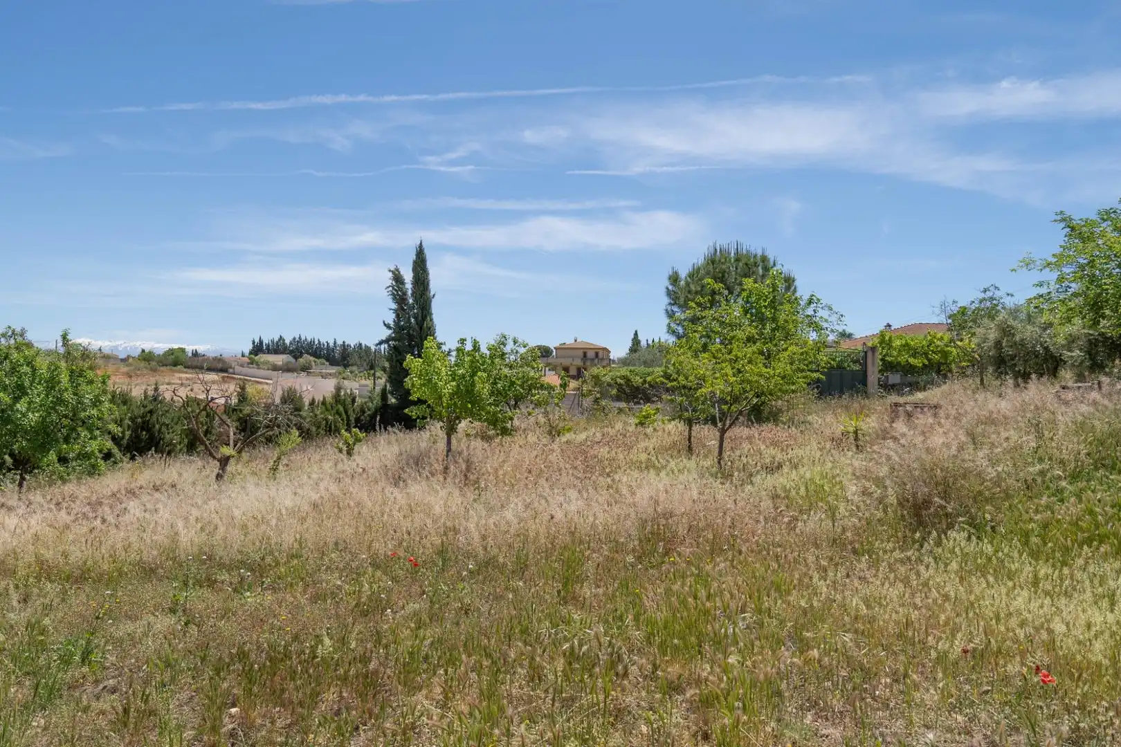 Casa o xalet en venda a Moraleda de Zafayona