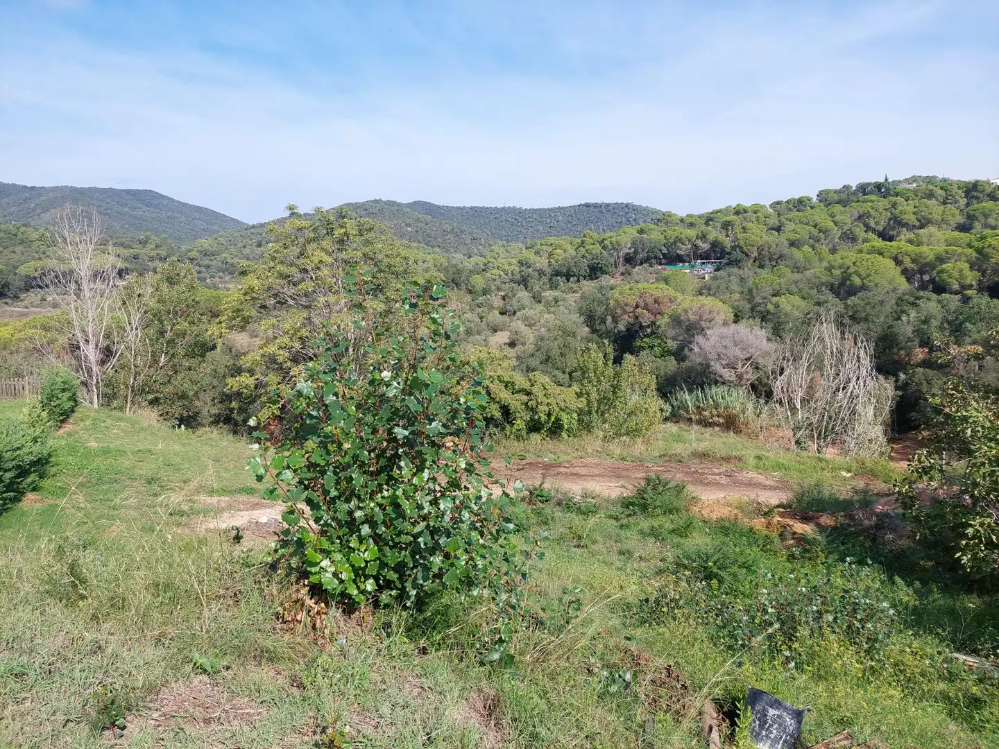 Wohnbaugrundstück zum Verkauf in Cabanyes - Mas Ambrós - Mas Pallí, imagen 5