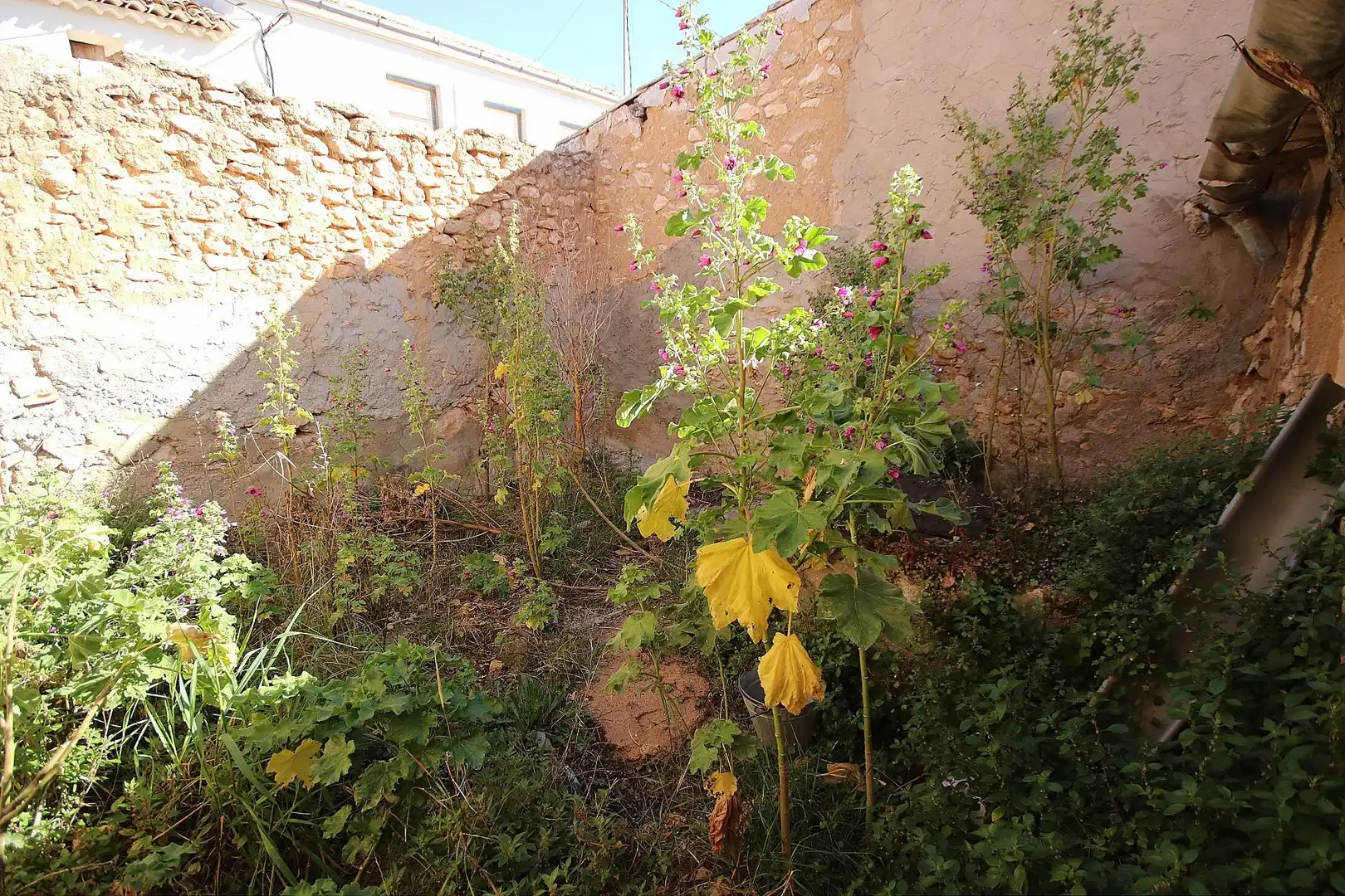Finca rústica en venda en Yecla