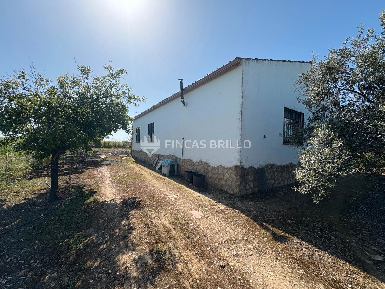 Land for sale in Torreorgaz