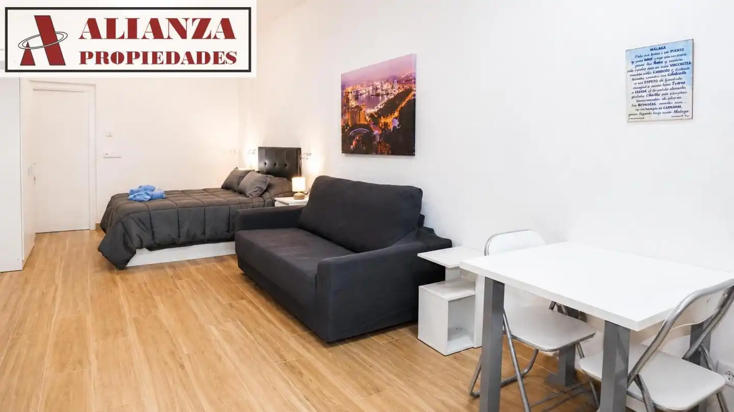 Studio zur Miete in Cruz de Humilladero, imagen 5