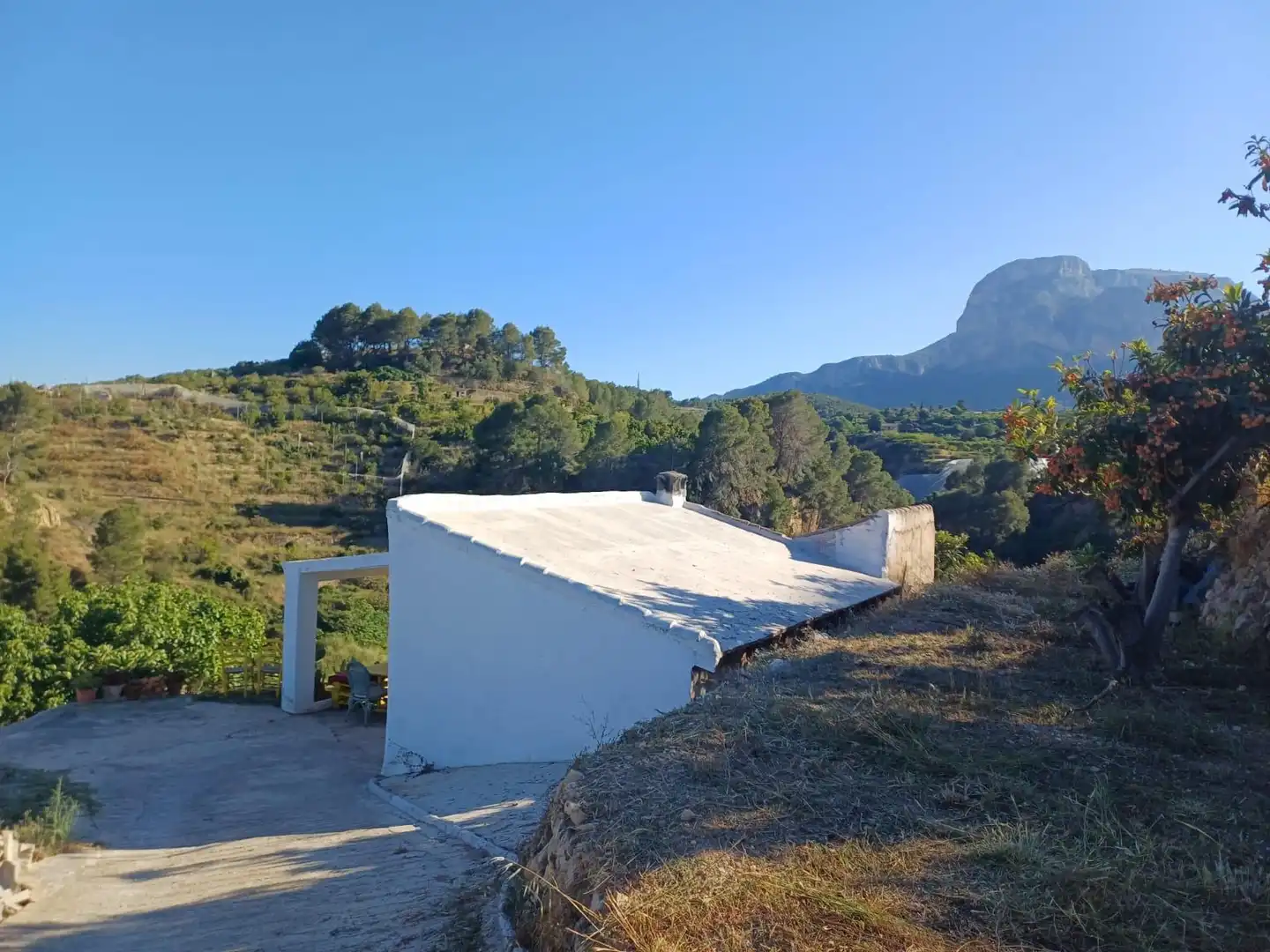 Rural land for sale in Callosa d'en Sarrià, imagen 4