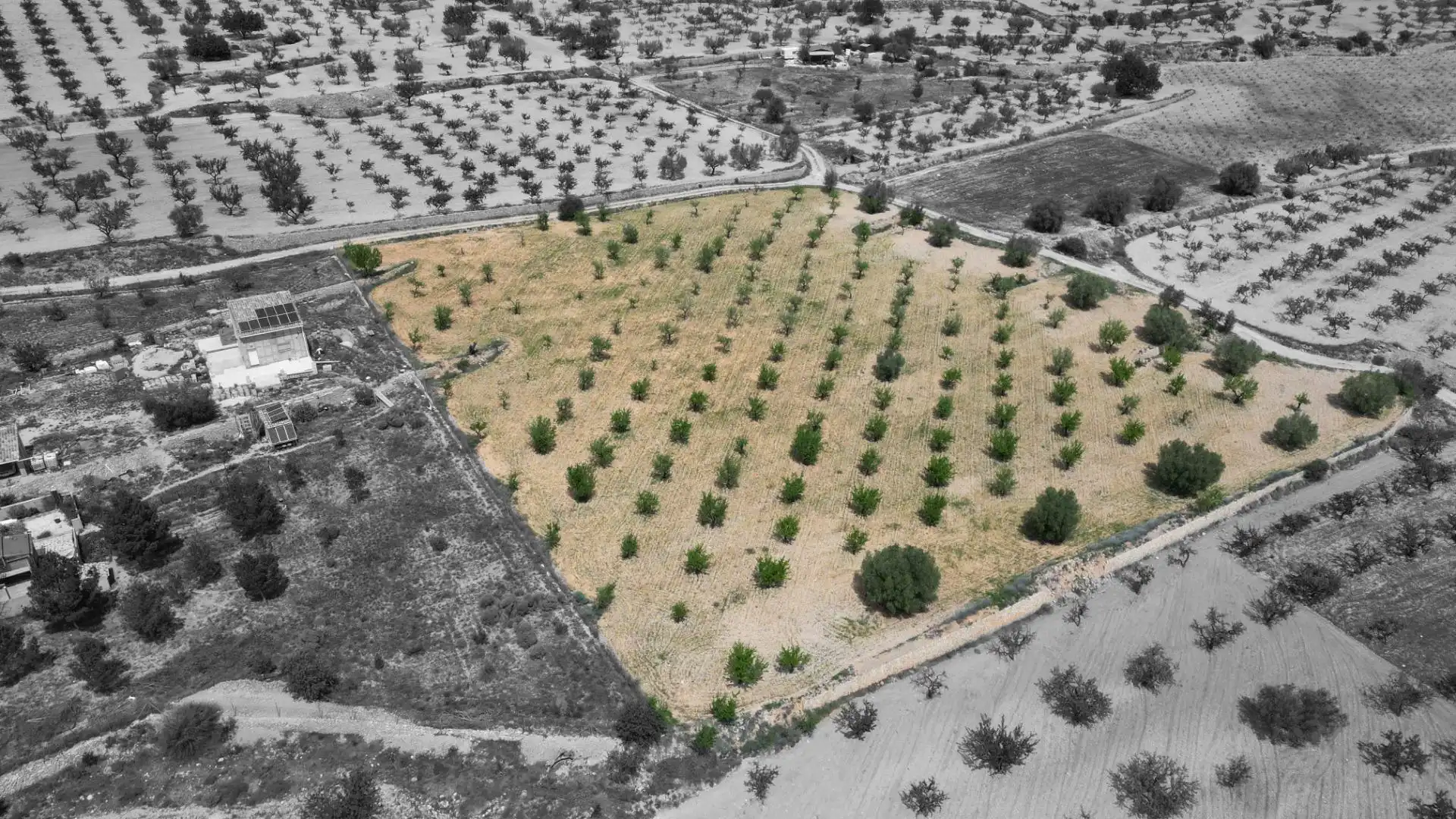 Terreny residencial en venda a Polígono 24, imagen 3