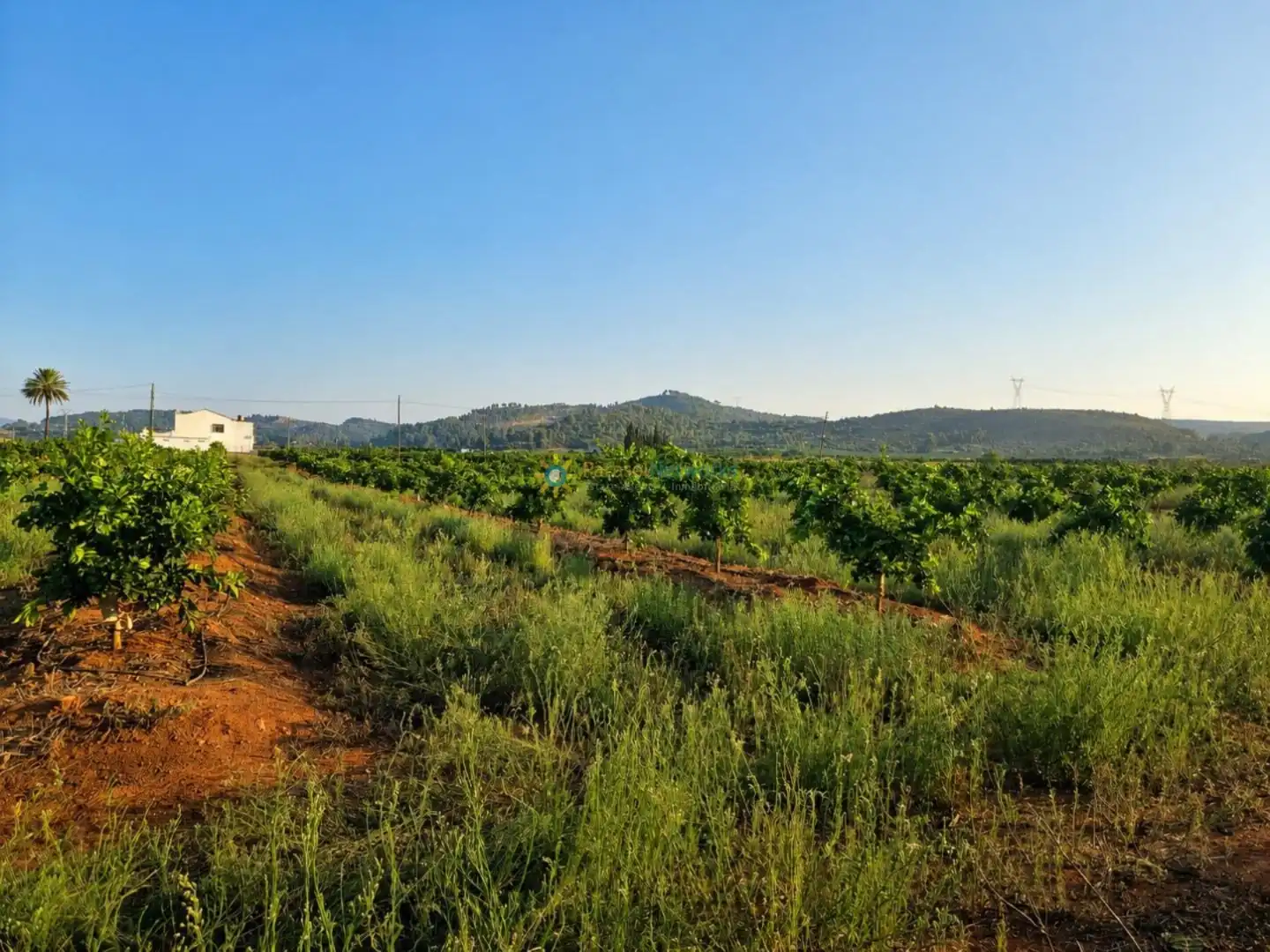 Finca rústica en venta en Sellent con Jardín privado y Terraza