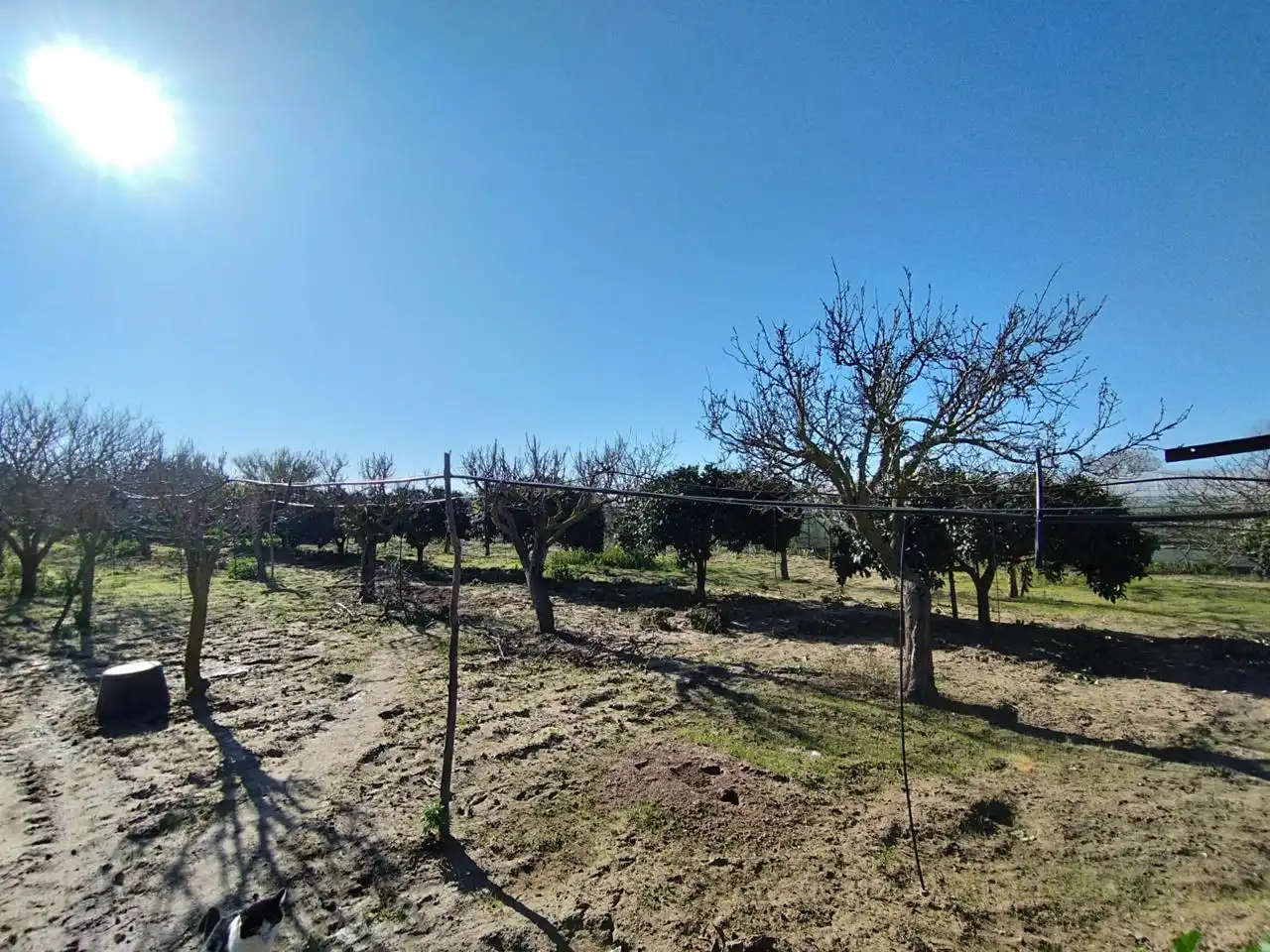 Casa rústica en venda a Las Manchuelas, imagen 16