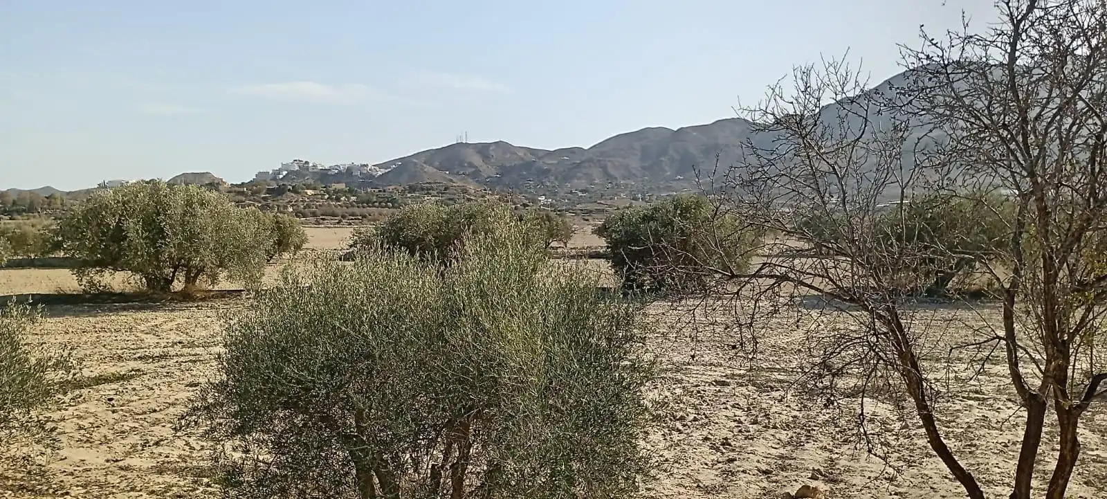 Maison avec jardin à vendre à Mojácar Pueblo, imagen 42