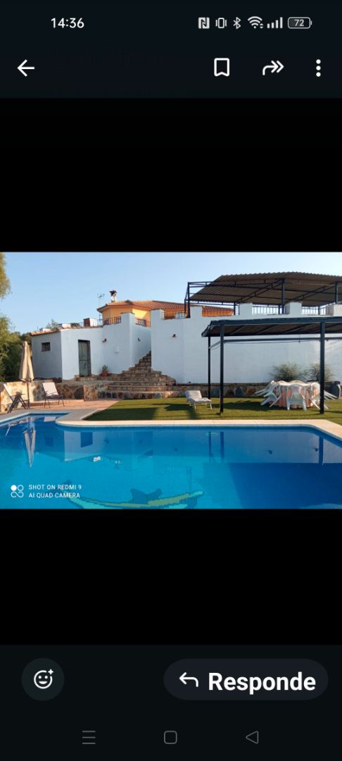 Swimming pool of House or chalet to rent in Almodóvar del Río  with Air Conditioner, Private garden and Swimming Pool