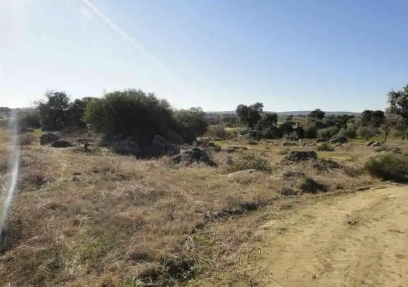 Grundstücke zum Verkauf in Esparragosa de la Serena