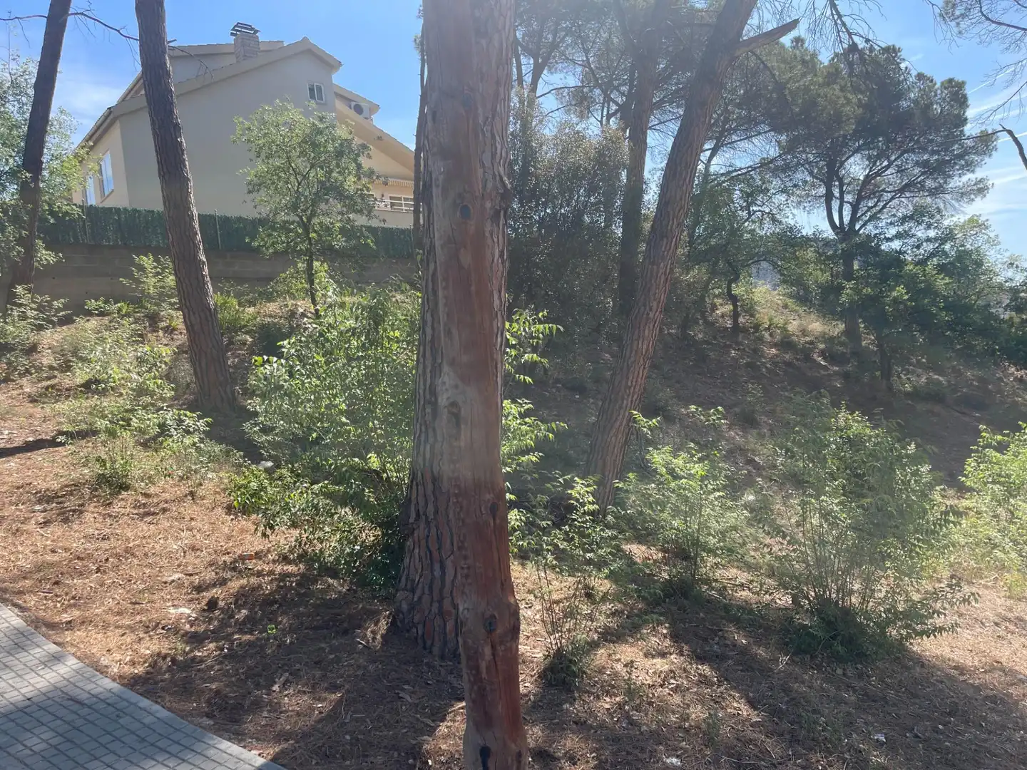 Terrenys i solars en venda a La Torre de Claramunt, imagen 4