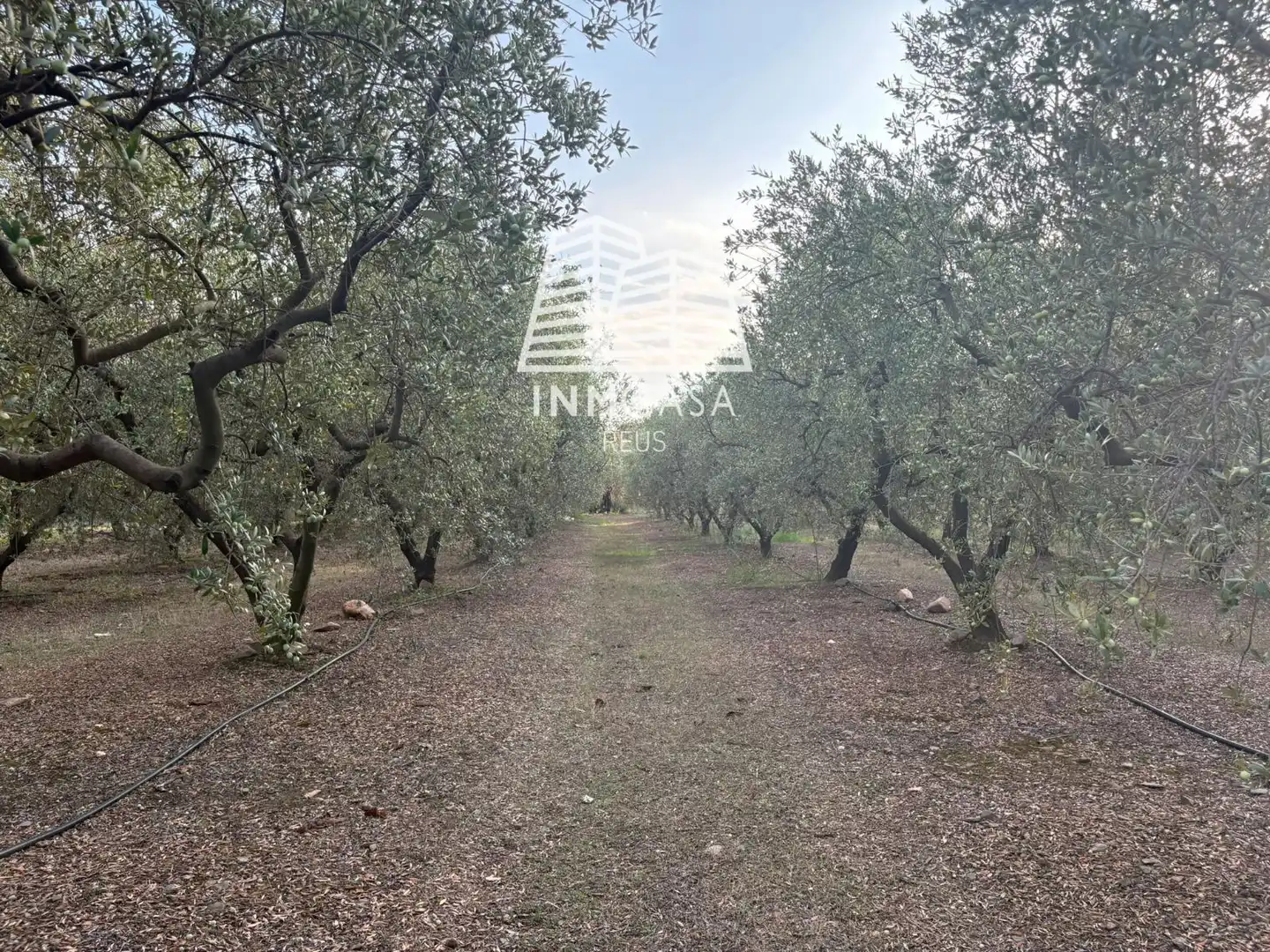 Terreno en venta en La Selva del Camp, Tarragona