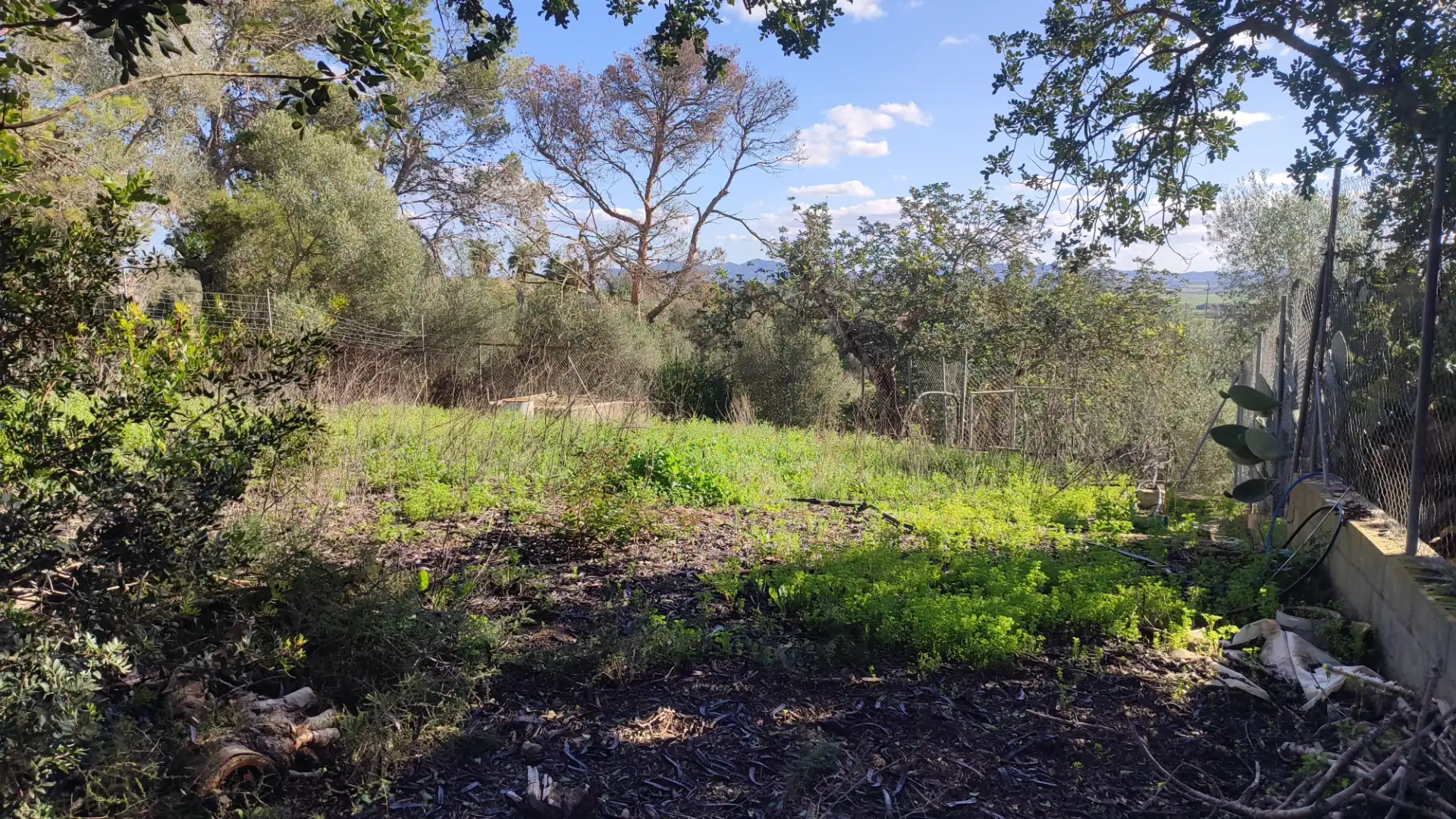 Rural land for sale in Vial Camino 316, imagen 7