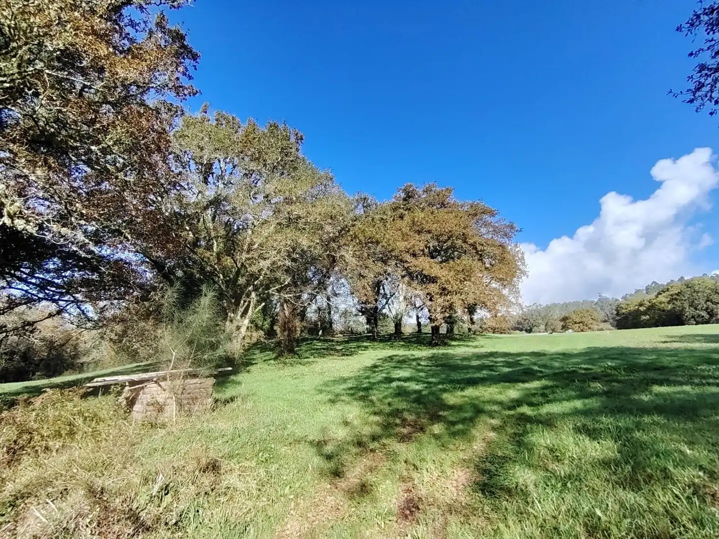 Country homes for sale in Negreira