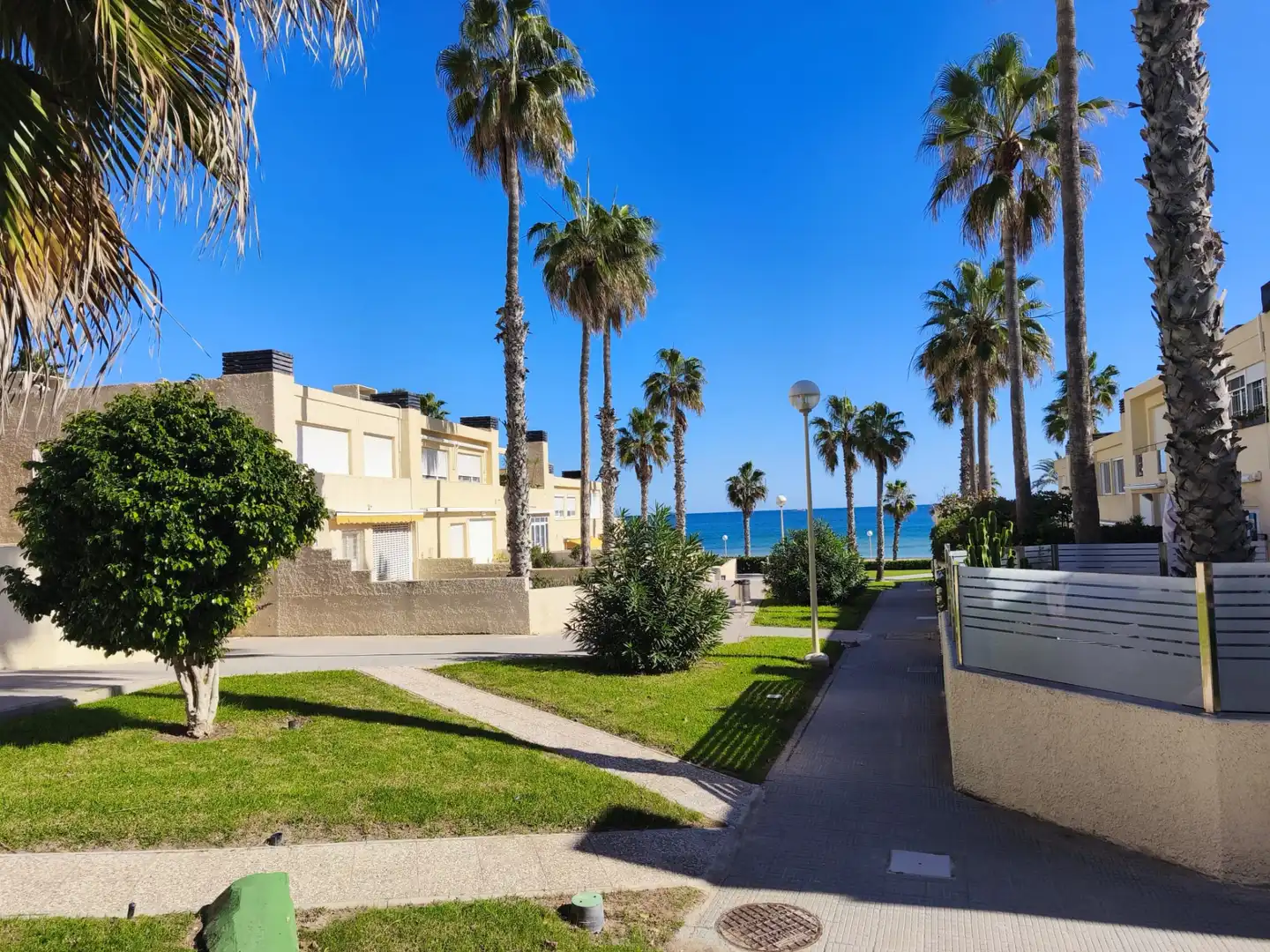 Exterior view of Houses for sale in Alicante / Alacant  with Private garden, Terrace and Community pool