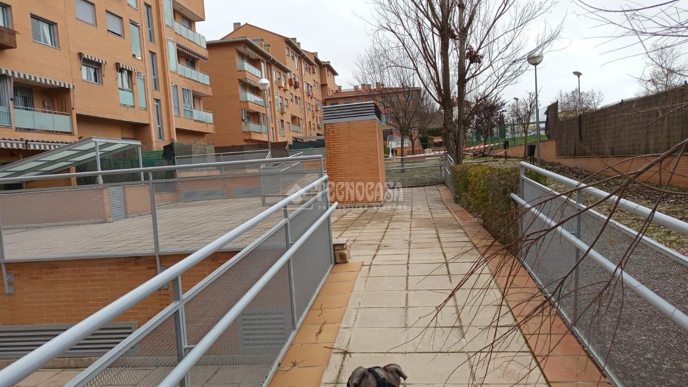 Piso de alquiler en La Dehesa - El Pinar