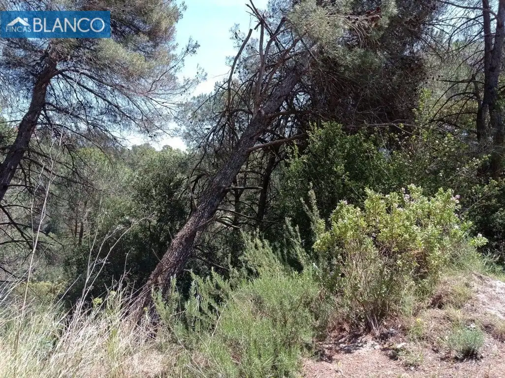 Residential for sale in Calle Castelldefels, Cabrera d'Anoia