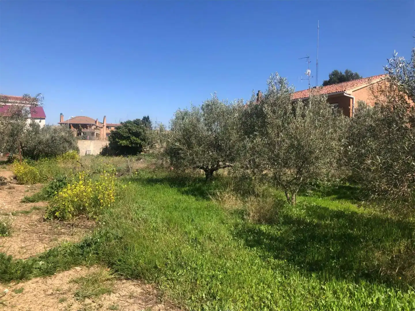 Finca rústica en venda en Olite / Erriberri