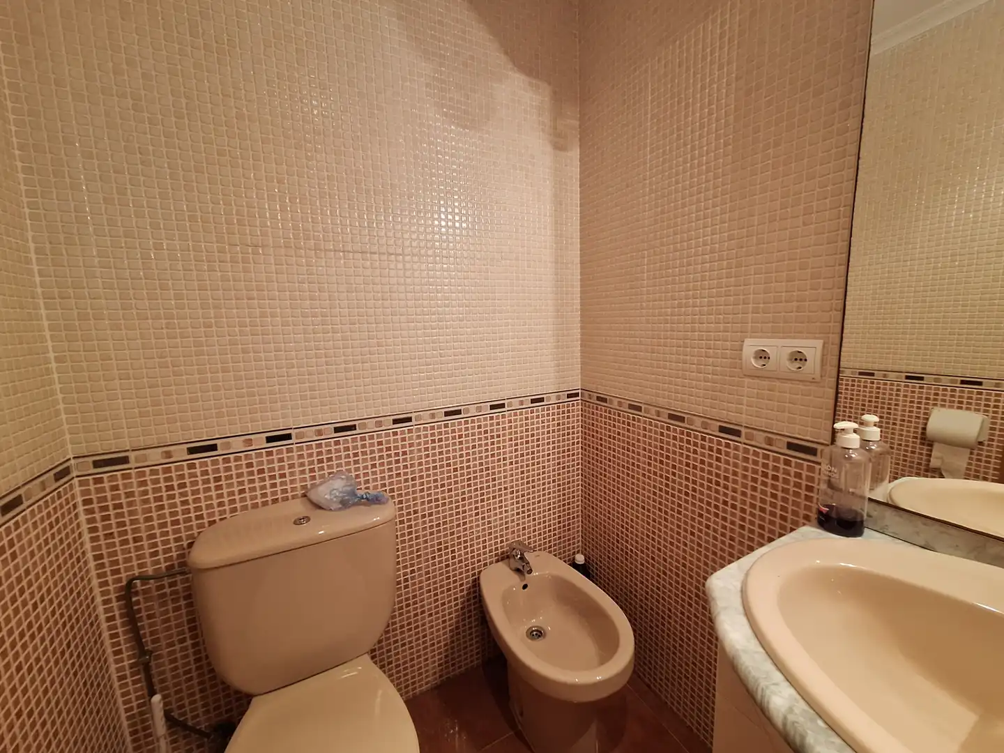 Bany de Casa o xalet en venda en Les Palmeres