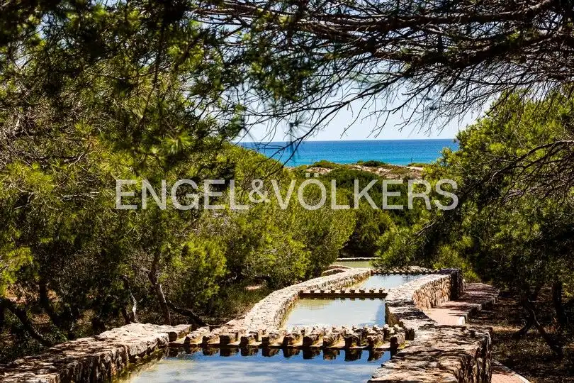 Vista exterior de Pis en venda en Torrevieja amb Aire condicionat, Calefacció i Jardí privat