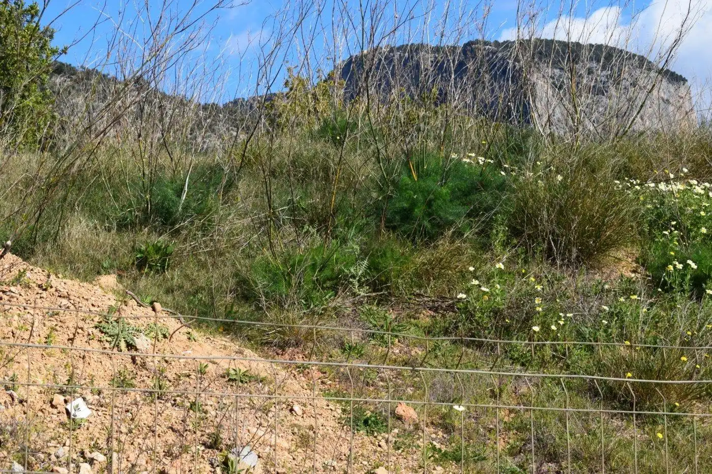 Residencial en venta en Alaró