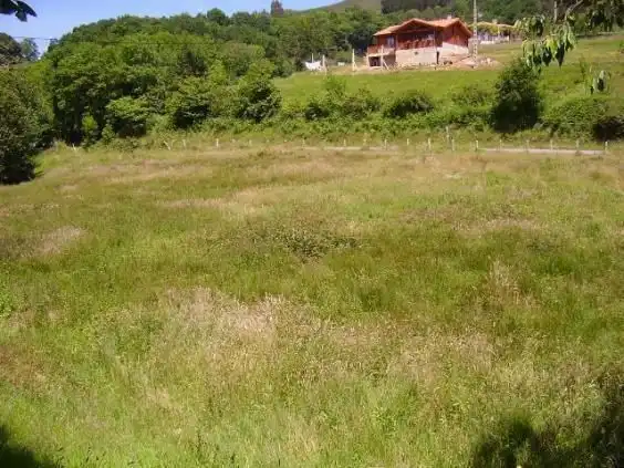 Grundstücke und Bauplätze zum Verkauf in Piloña, imagen 6