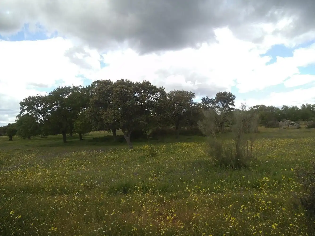 Residencial en venda en Valdemorillo