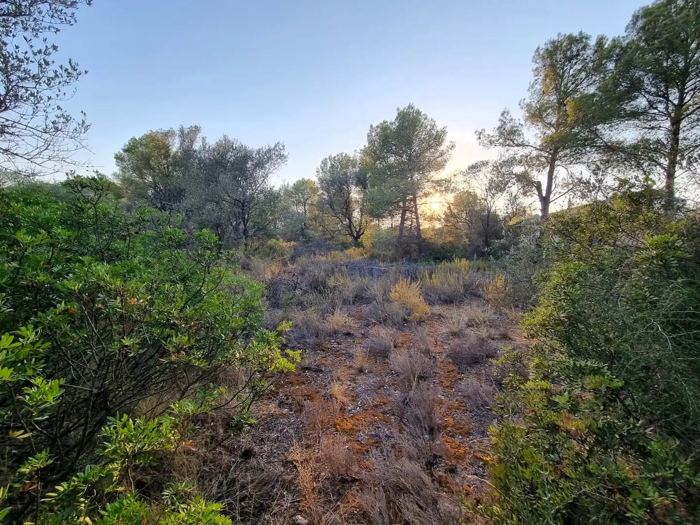 Residencial en venta en Tivissa