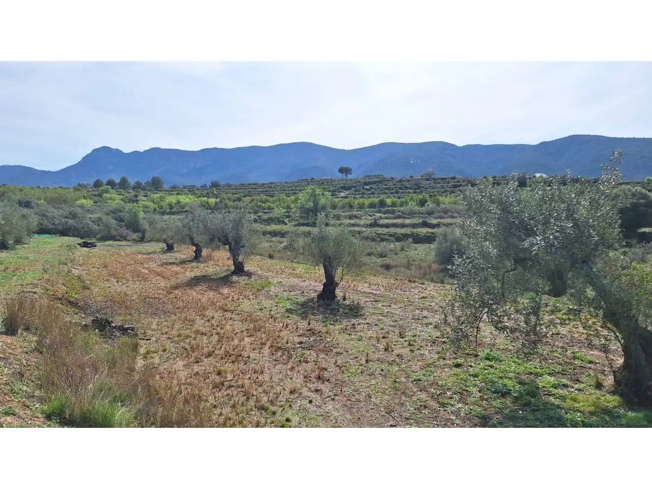 Terreno residencial en venta en Pasaje Alfogas, imagen 2