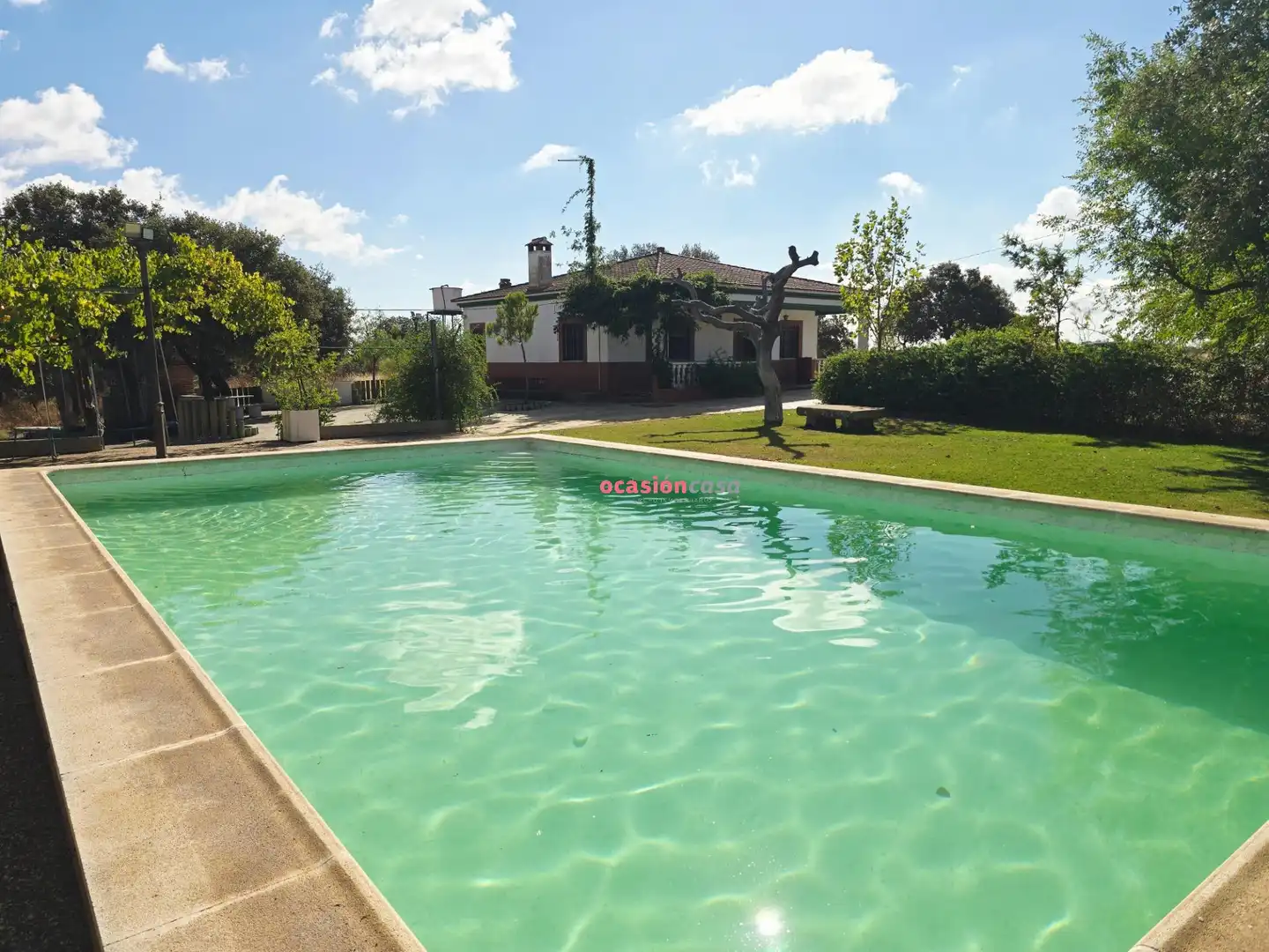 Piscina de Casa o xalet en venda en Alcaracejos amb Traster i Piscina