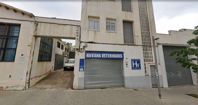 Local comercial en Alquiler en El Palau - Escorxador