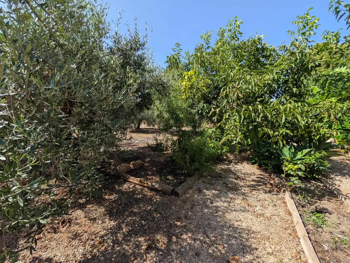Finca rústica en venta en Alcanar