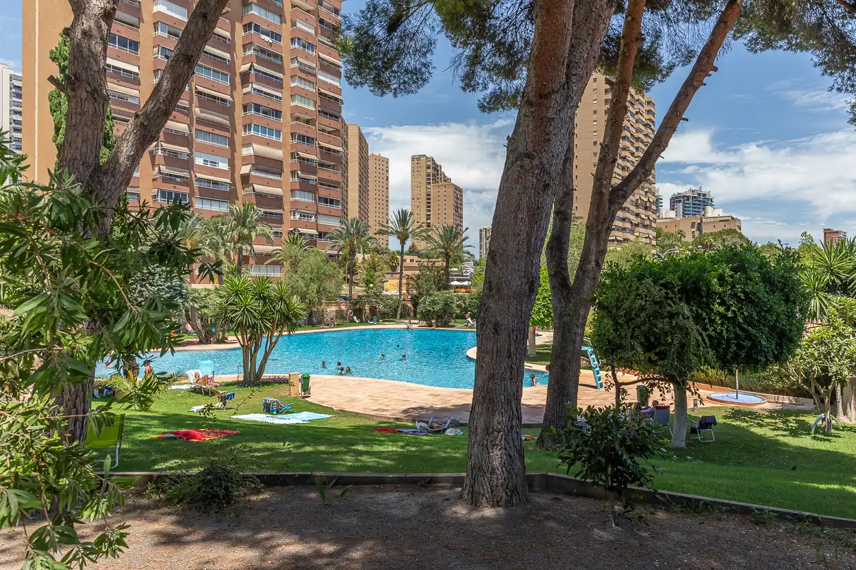 Piscina de Piso en venta en Benidorm con Piscina, Amueblado y Piscina comunitaria