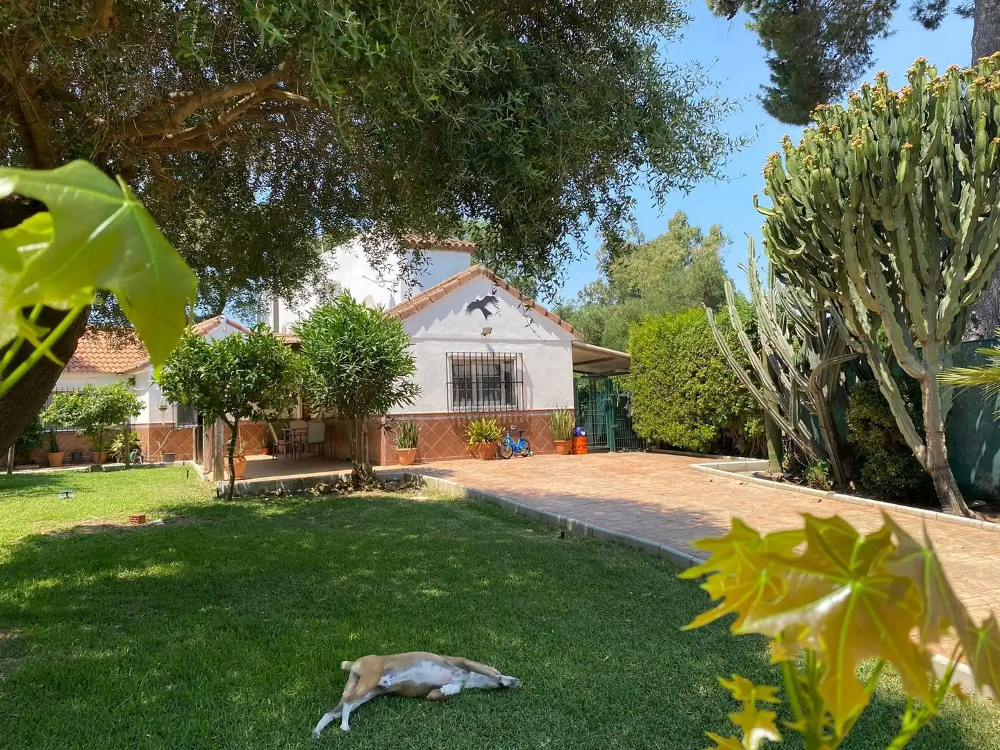 Jardí de Casa o xalet en venda en Los Barrios amb Jardí privat, Terrassa i Traster
