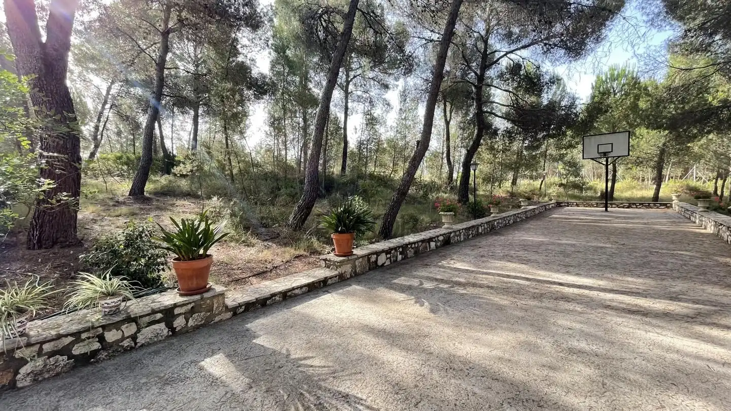 Finca rústica en venta en Carcaixent con Jardín privado, Terraza y Trastero