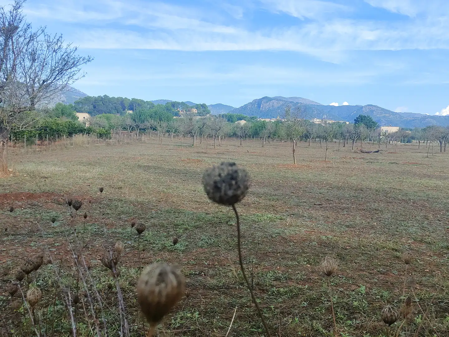 Terrain rustique à vendre à Camí Moscari 26, imagen 23
