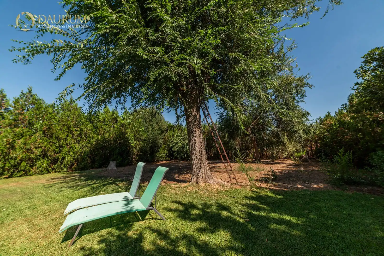 Jardí de Casa o xalet en venda en La Rinconada amb Aire condicionat, Calefacció i Piscina
