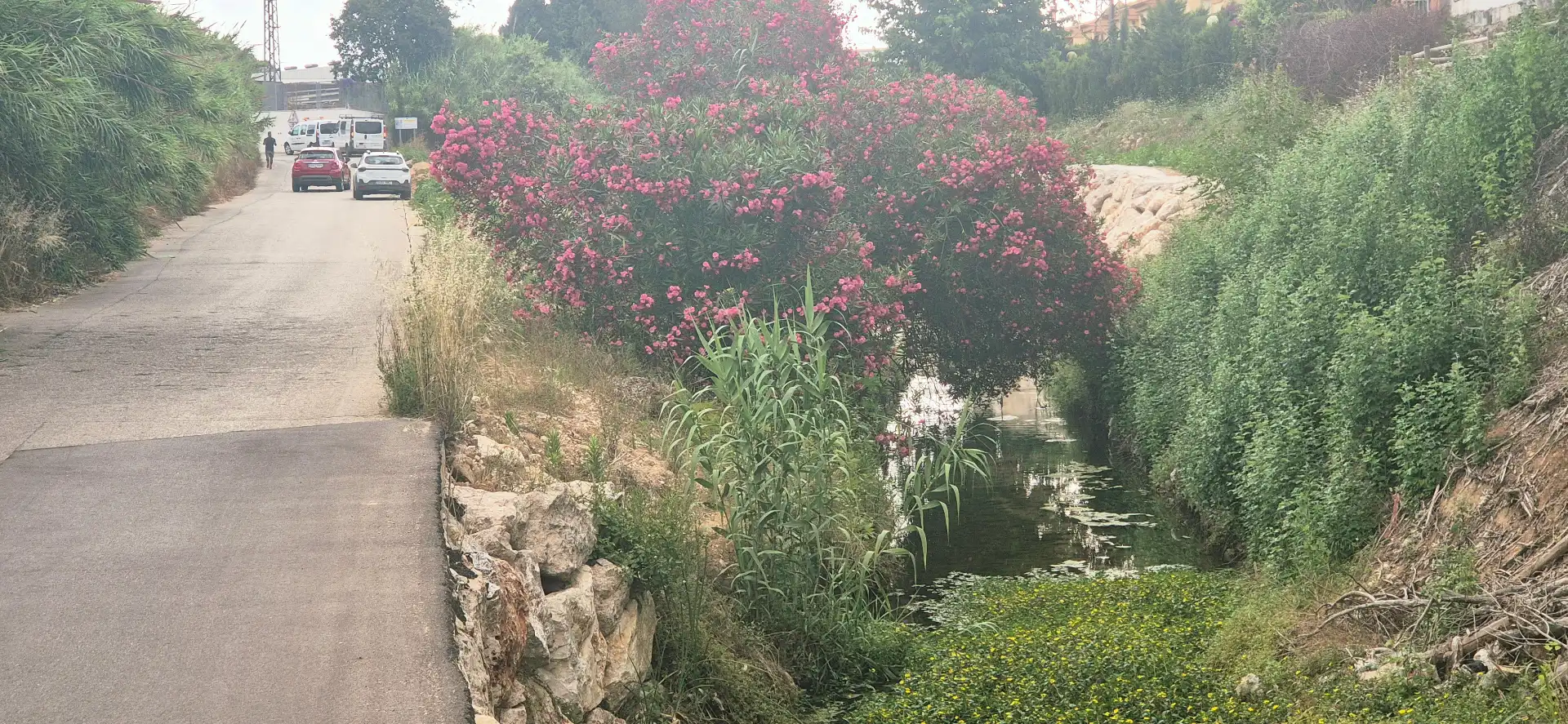 Jardí de Finca rústica en venda en Gandia amb Jardí privat, Terrassa i Moblat