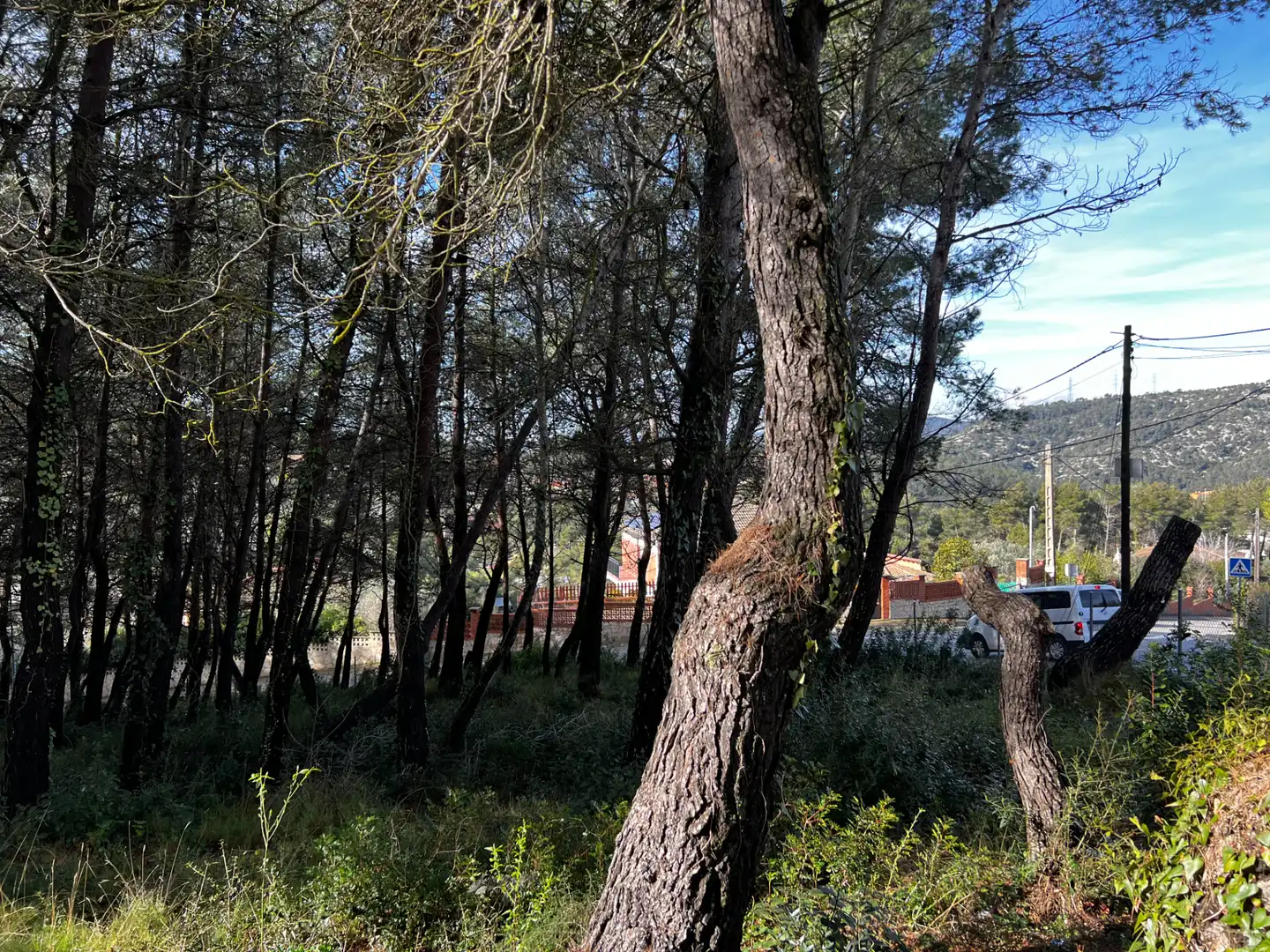 Residencial en venda en Olesa de Bonesvalls