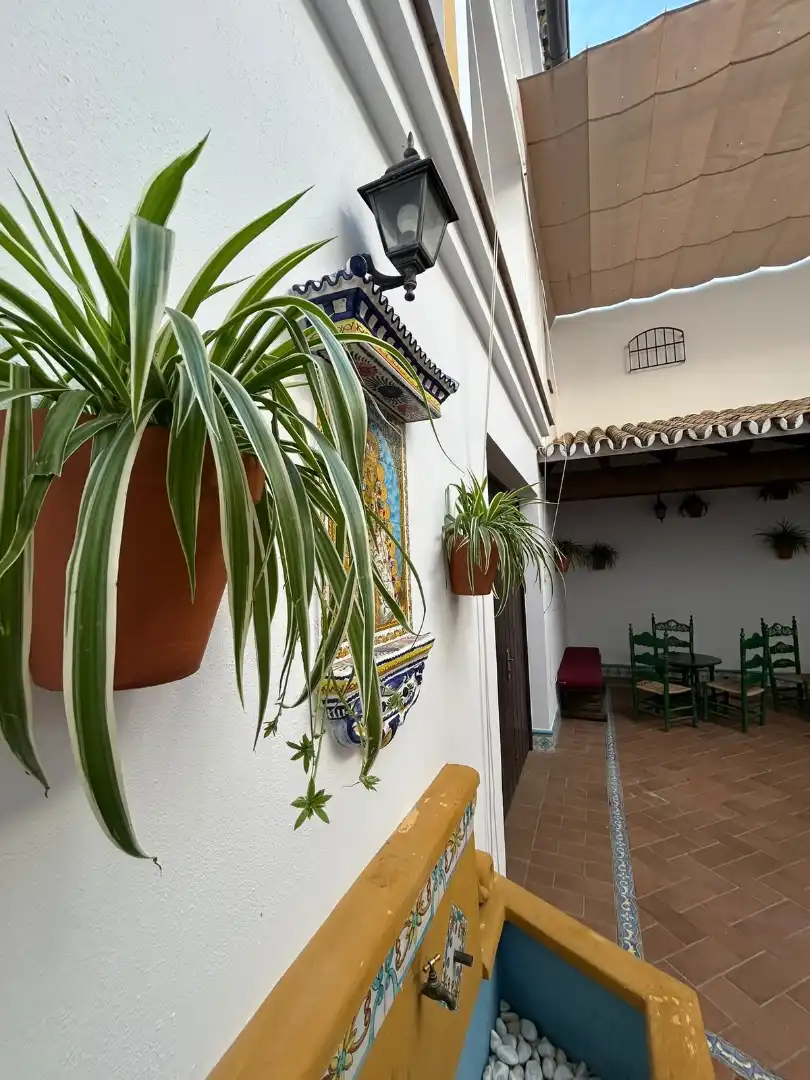 House with terrace to rent in El Ajolí, imagen 11