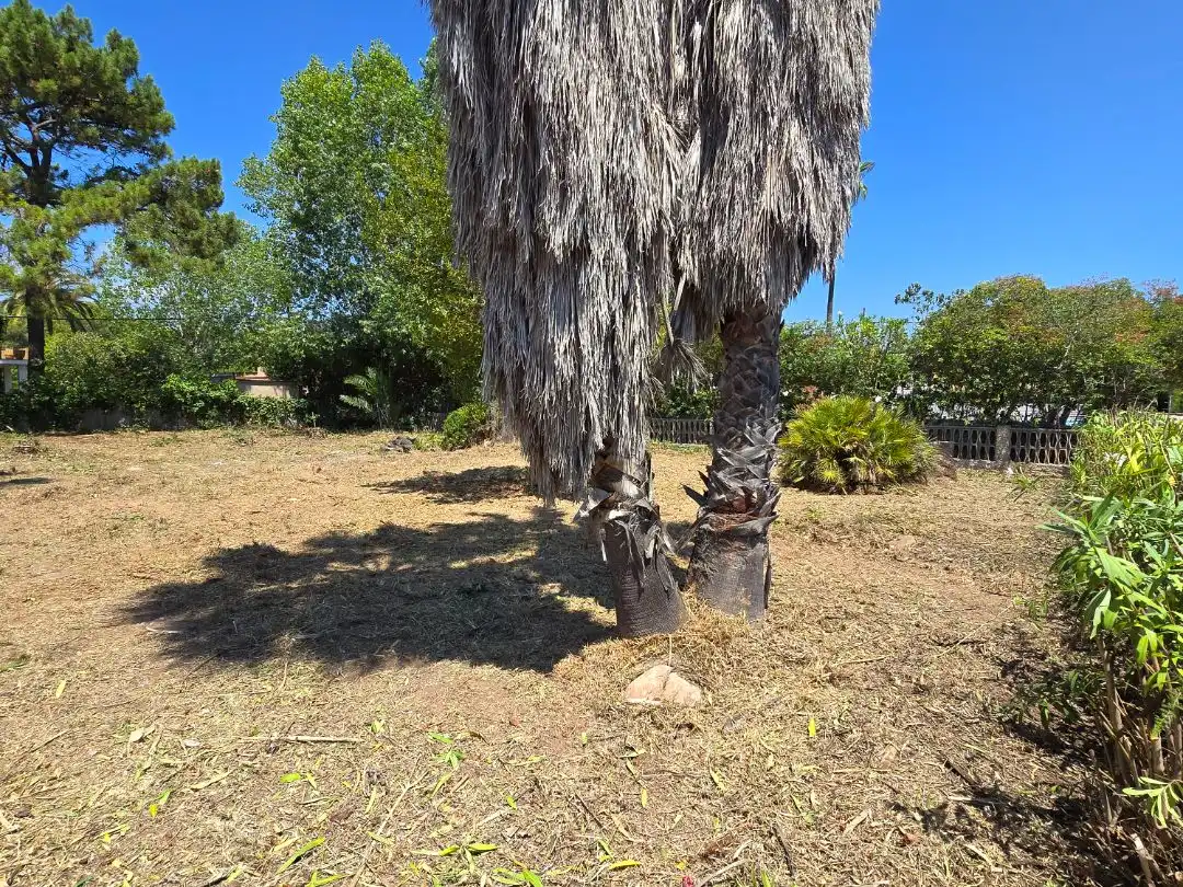 Jardí de Residencial en venda en Castellón de la Plana / Castelló de la Plana