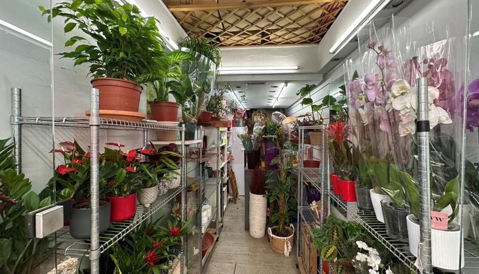 Photo 1 of Premises to rent in N/a, El Putget i el Farró, Barcelona