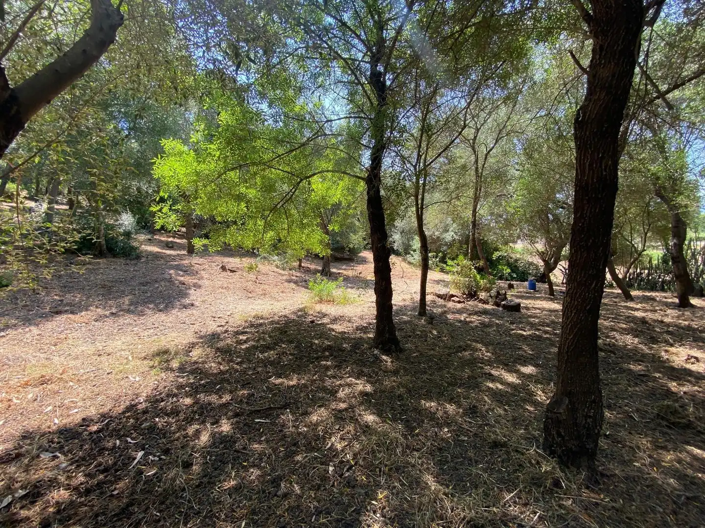 Casa o xalet en venda en Los Barrios amb Jardí privat, Terrassa i Traster