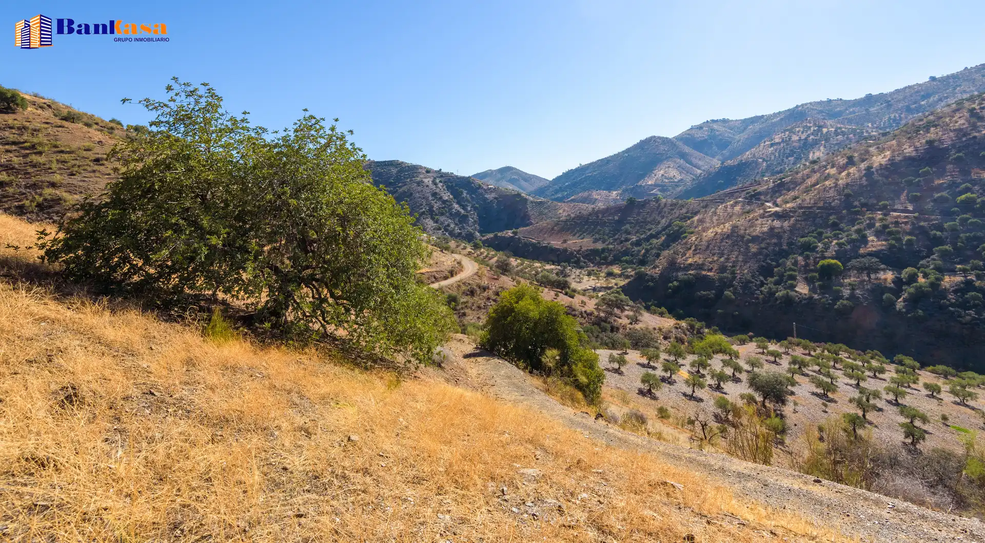Vista exterior de Finca rústica en venta en Álora con Jardín privado y Trastero