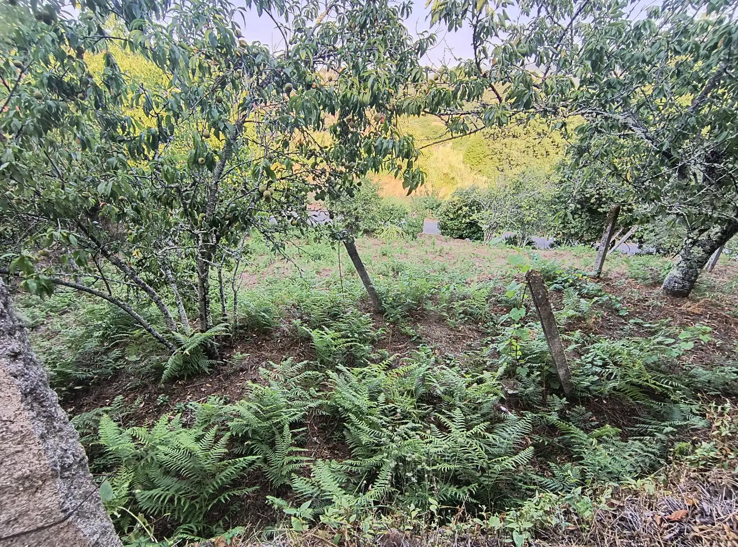 Casa o xalet en venda en Arbo