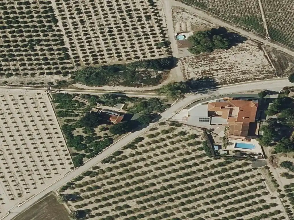 Houses for sale in Catral