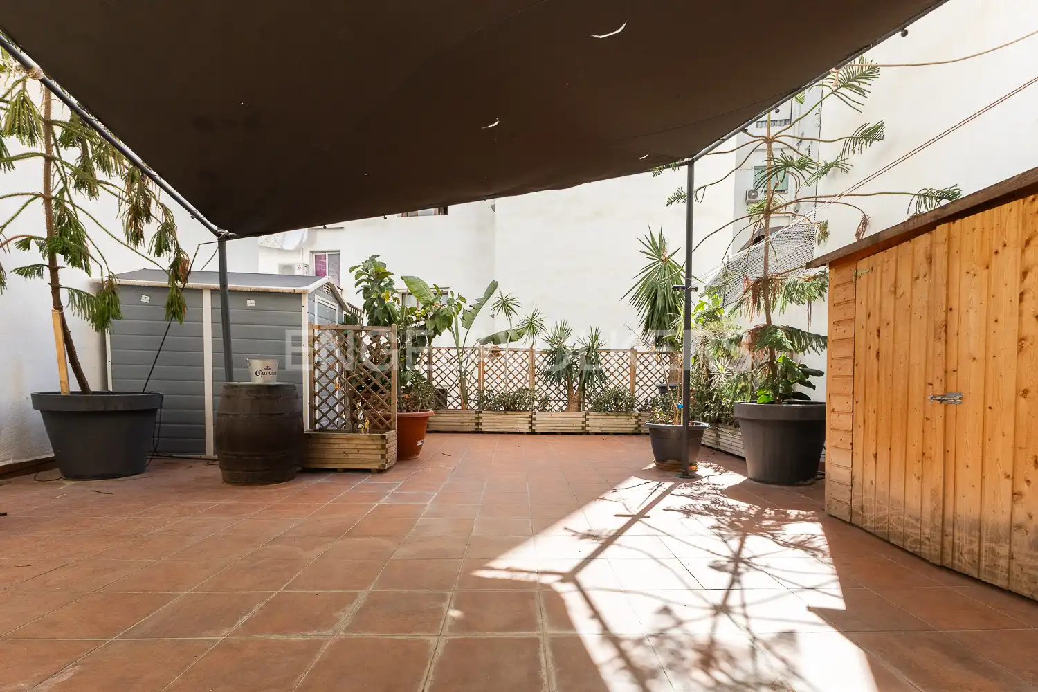Terrasse von Wohnung zur Miete in Jesús