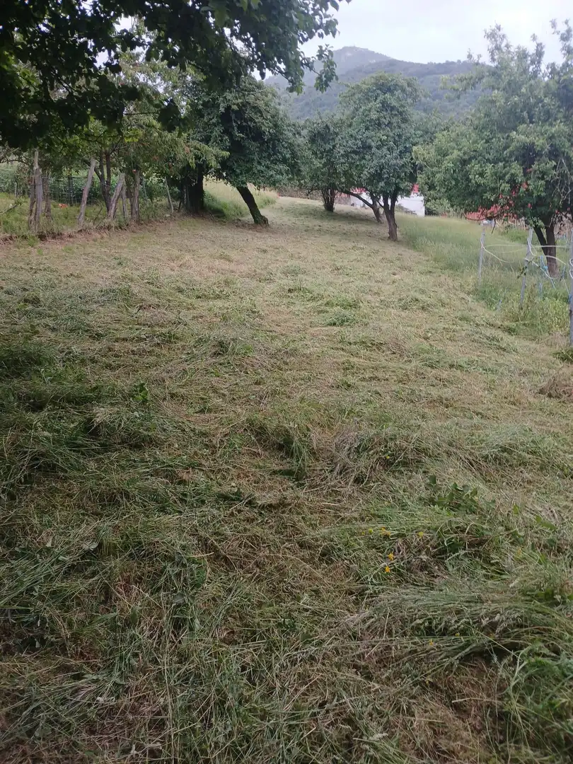 Casa o chalet en venta en Caso