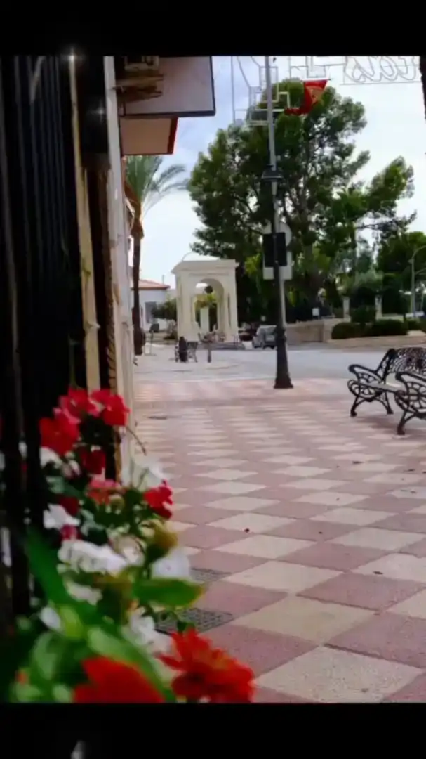 Vista exterior de Casa adosada en venda en Aspe amb Balcó