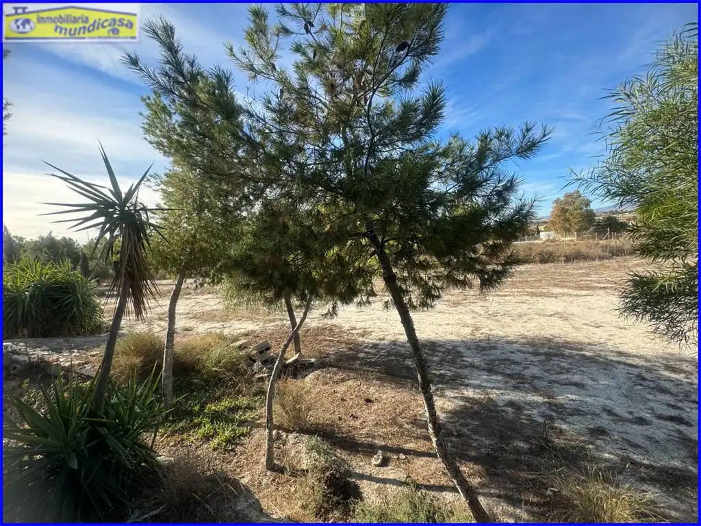 Terreno rústico en venta en Fortuna, imagen 2