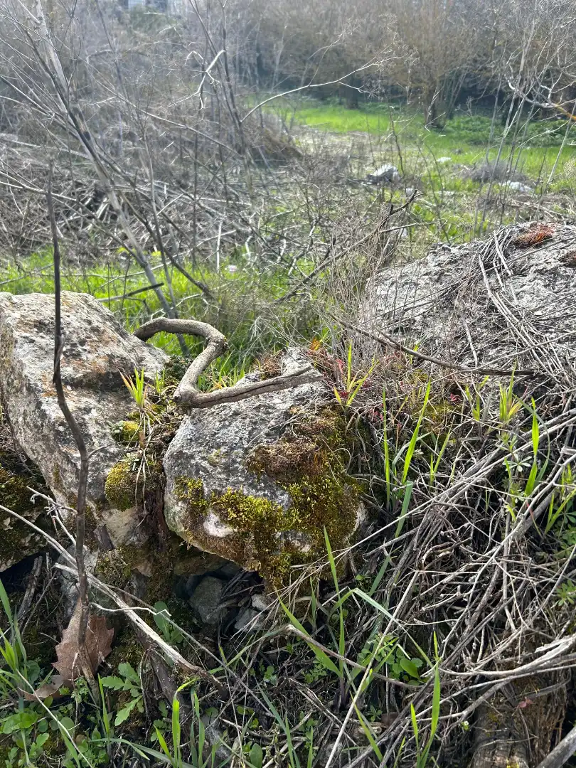 Terreno residencial en venta en Valle de Santibáñez, imagen 20